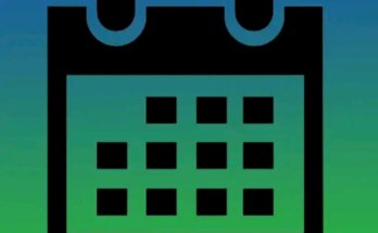 DateSheet APK icon
